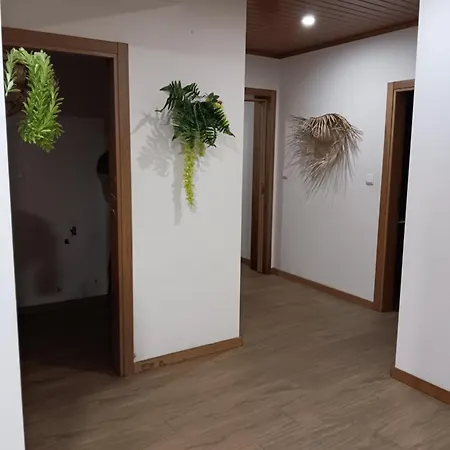 Passadicos Do Paiva House 度假居